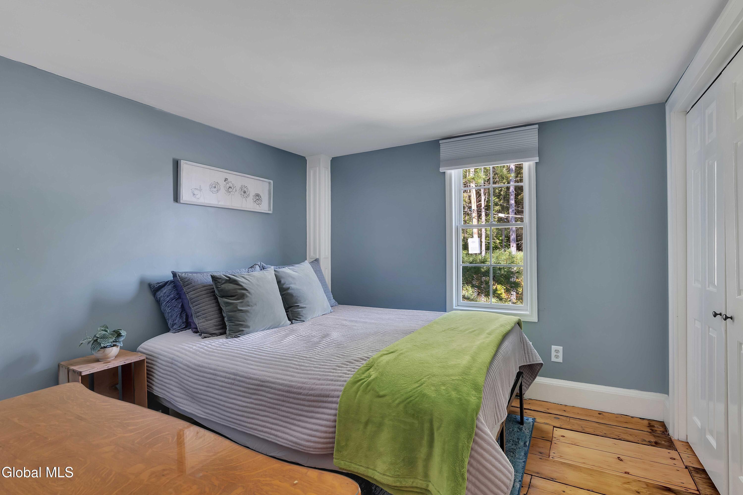 161 Hop City Road Ballston, NY 12020 - Photo 29 of 38 P1564451