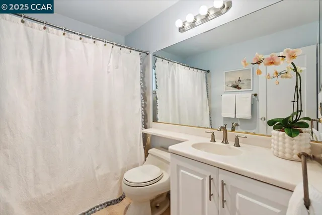 a bathroom with a sink a toilet and a large mirror