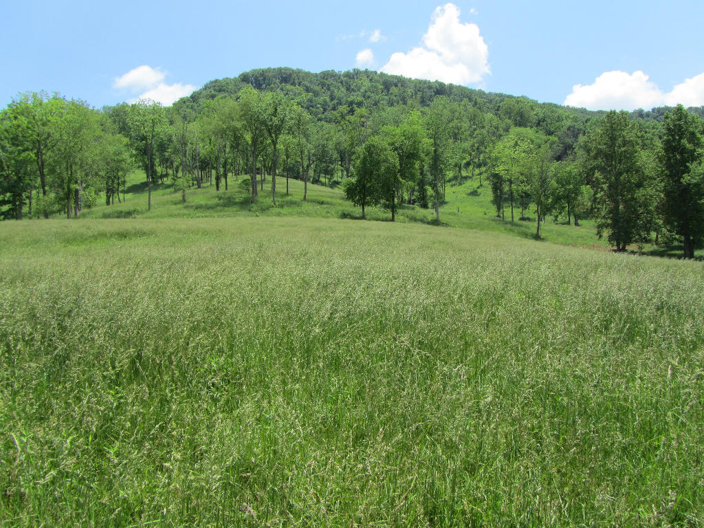 1921 Cedar Fork Road Tazewell, TN 37879 - Photo 1 of 14 00