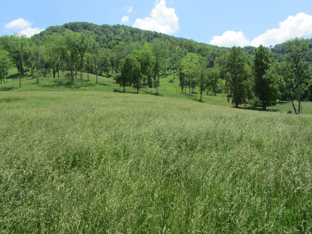 1921 Cedar Fork Road Tazewell, TN 37879 - Photo 11 of 14 10