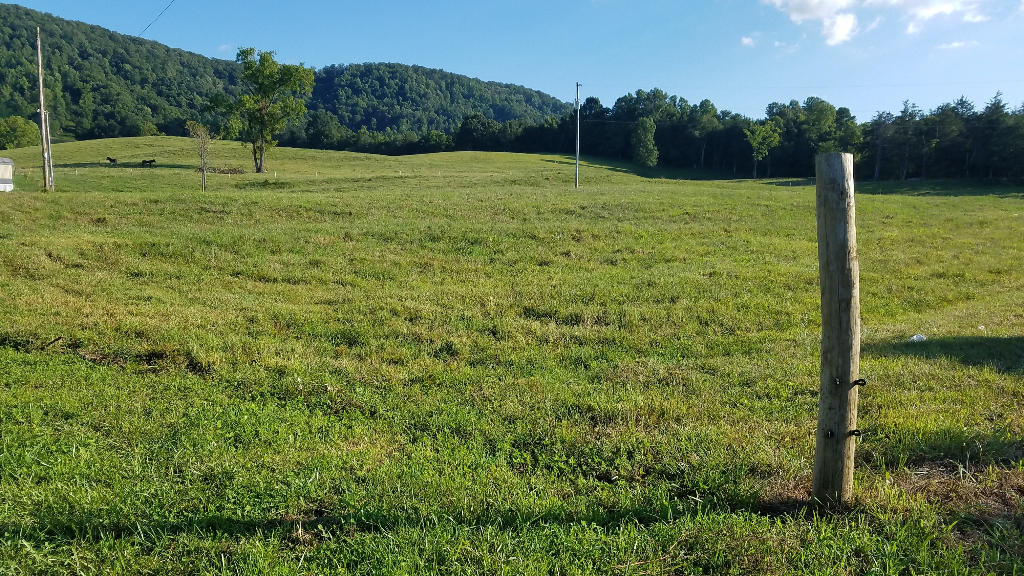 1921 Cedar Fork Road Tazewell, TN 37879 - Photo 13 of 14 12