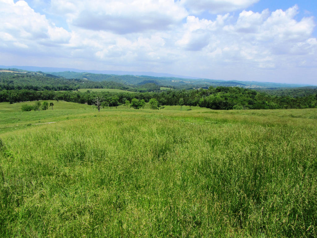 1921 Cedar Fork Road Tazewell, TN 37879 - Photo 5 of 14 04