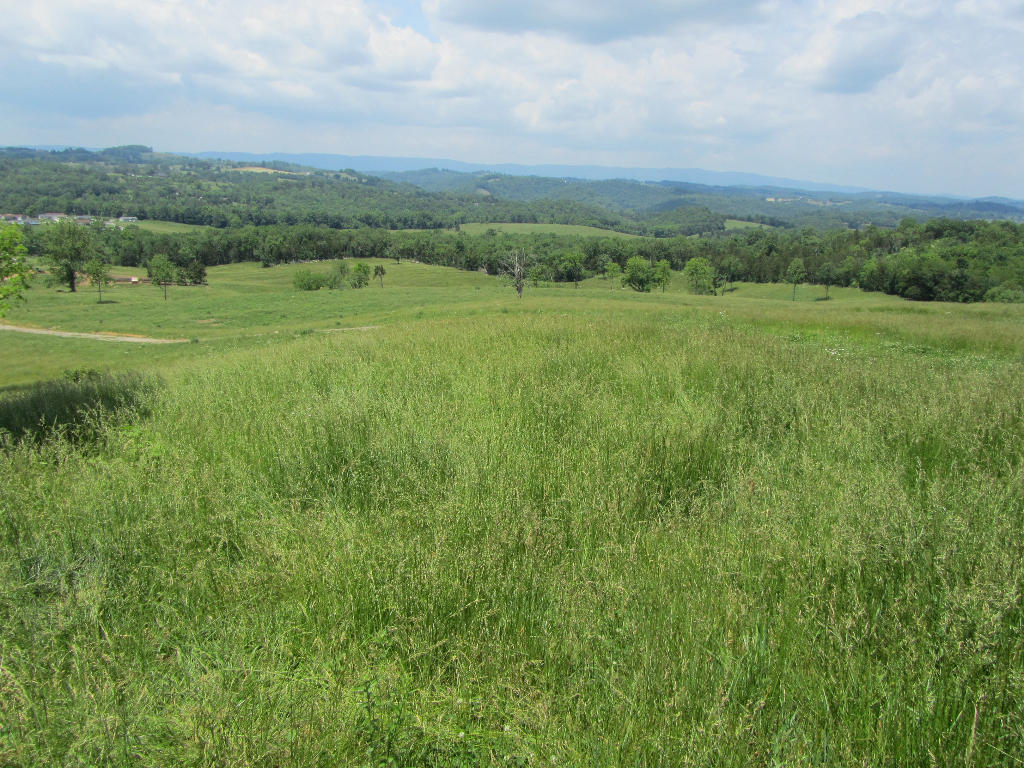 1921 Cedar Fork Road Tazewell, TN 37879 - Photo 7 of 14 06