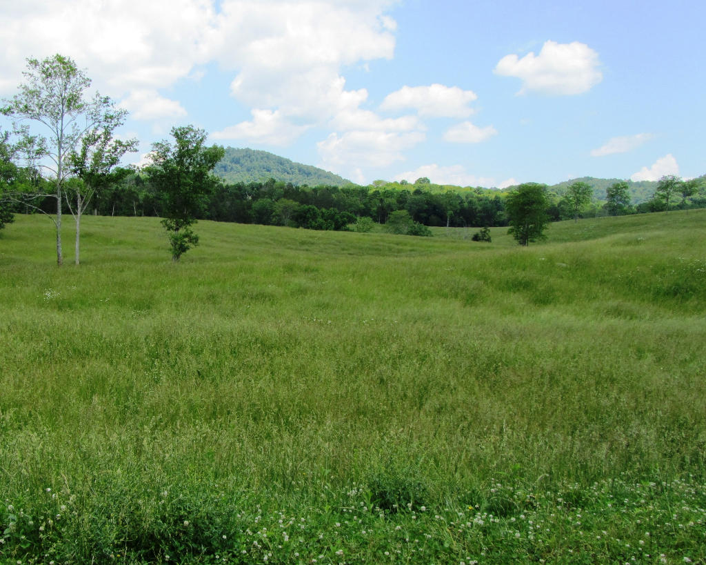 1921 Cedar Fork Road Tazewell, TN 37879 - Photo 10 of 14 09