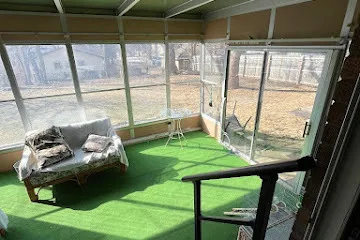 a living room filled with furniture and a yard