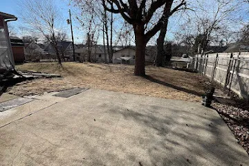 a tree in front of a house
