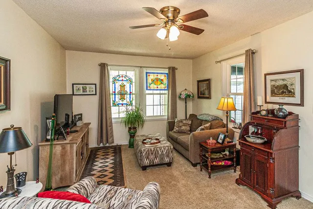 a living room with furniture ceiling fan and a rug