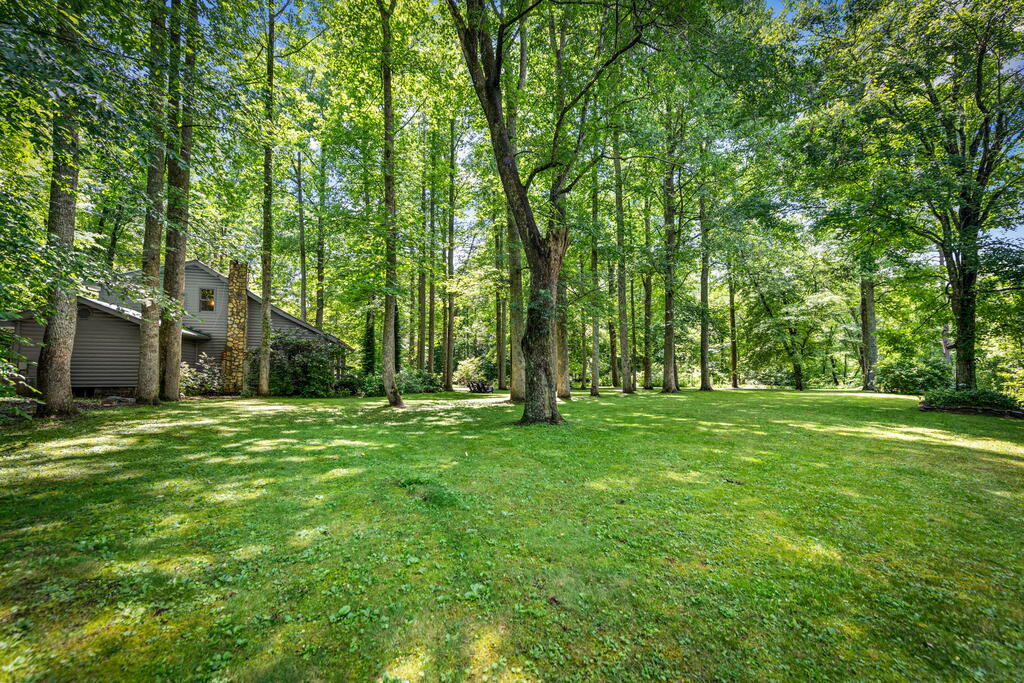 2977 Highway 2 Blue Ridge, GA 30513 - Photo 73 of 87 Gallery Image 73