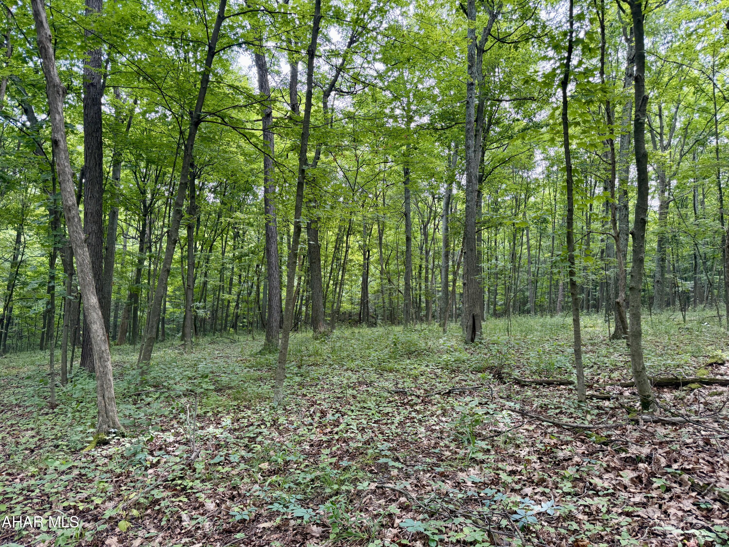 111-ac 111-ac Main Road Bedford, PA 15522 - Photo 21 of 28