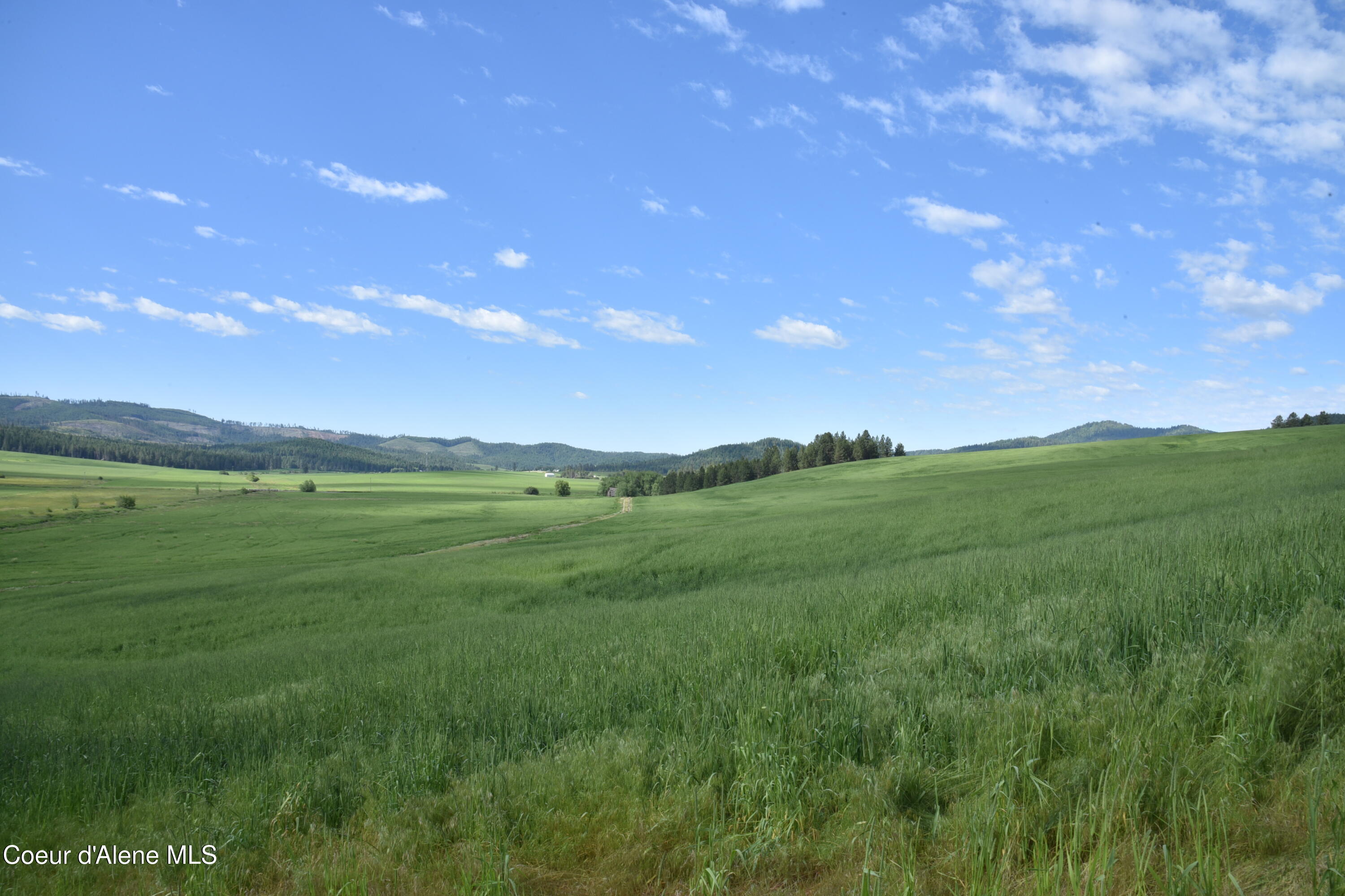 Nna Sanders Road Desmet, ID 83824 - Photo 4 of 19 4