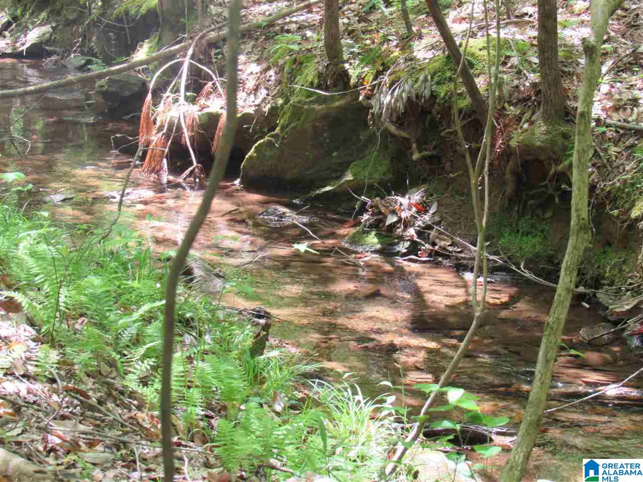 0 County Road 895, Unit 17 ACRES Lineville, AL 36266 - Photo 18 of 30