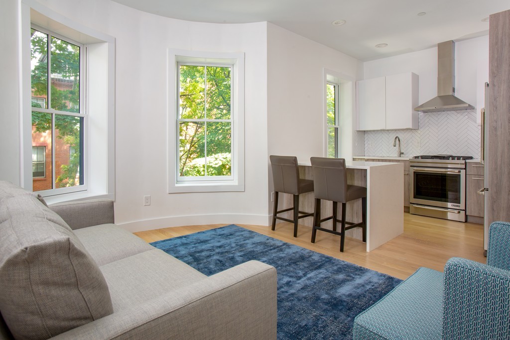 55 East Springfield Street, Unit 4 Boston, MA 02118 - Photo 2 of 7 a living room with furniture and a window