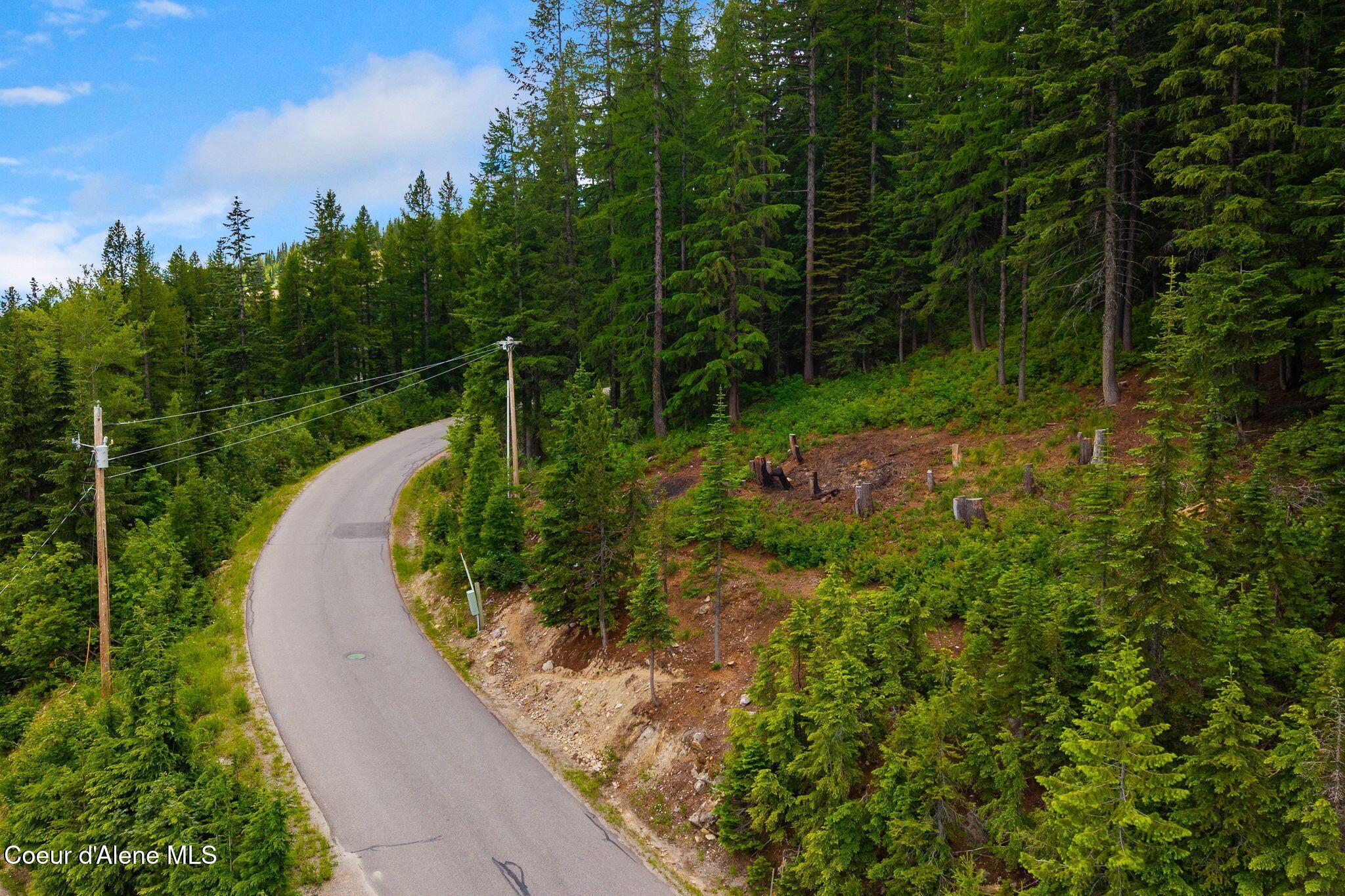 01 Mogul Hill Road Sandpoint, ID 83864 - Photo 6 of 26 3_DJI_20260703134855_0311_D