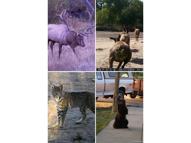 a bathroom with mirror and sink