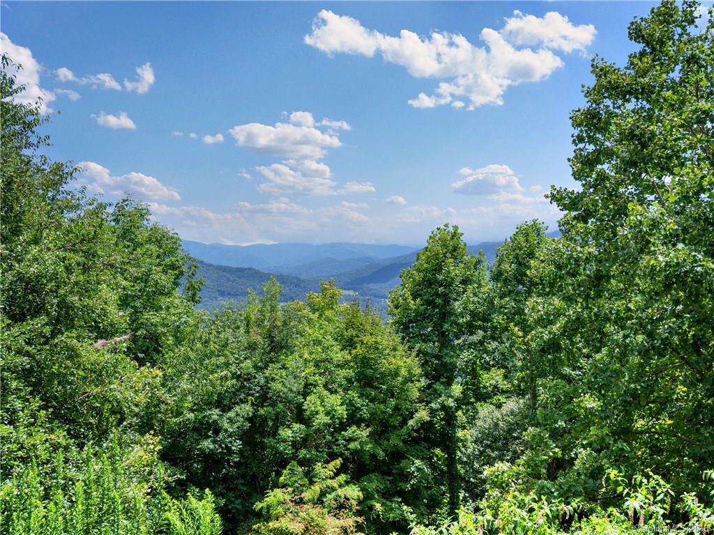 1405 Cathey Cove Road Waynesville, NC 28786 - Photo 18 of 19 Gallery Image 18