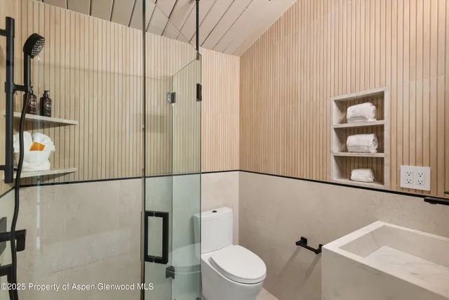 a bathroom with a toilet and a shower