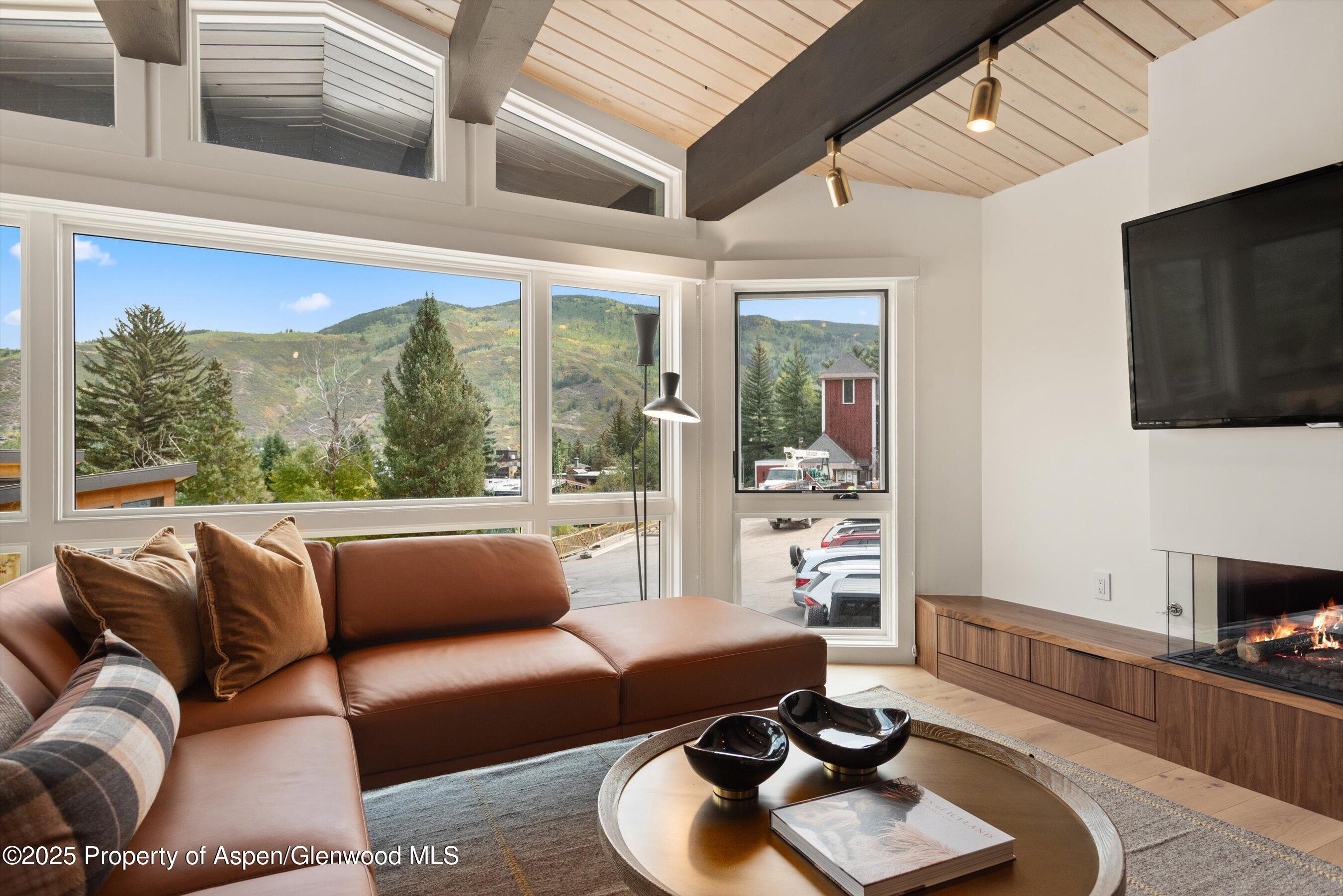 809 South Aspen Street, Unit 2 Aspen, CO 81611 - Photo 4 of 25 a living room with furniture and a flat screen tv