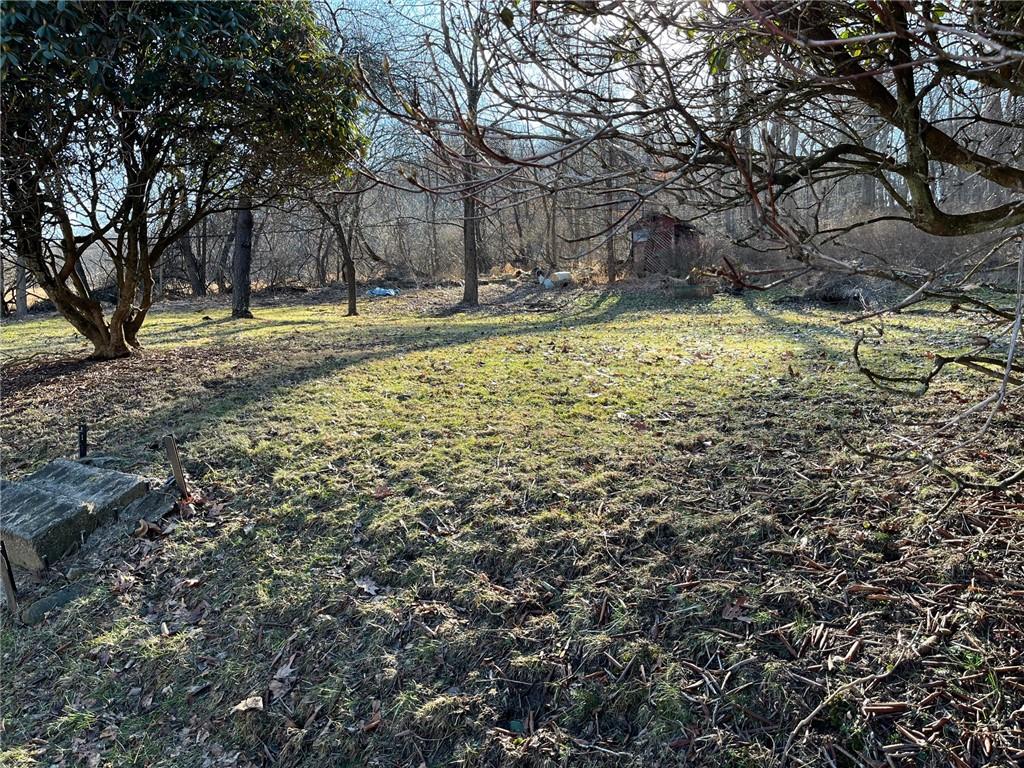 222 Whitten Hollow Road Apollo, PA 15613 - Photo 4 of 10 a view of a yard with a tree