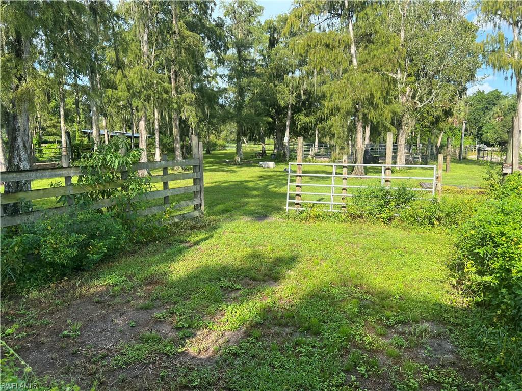 2170 Rock Road Naples, FL 34120 - Photo 10 of 15 a big yard with lots of green space and trees