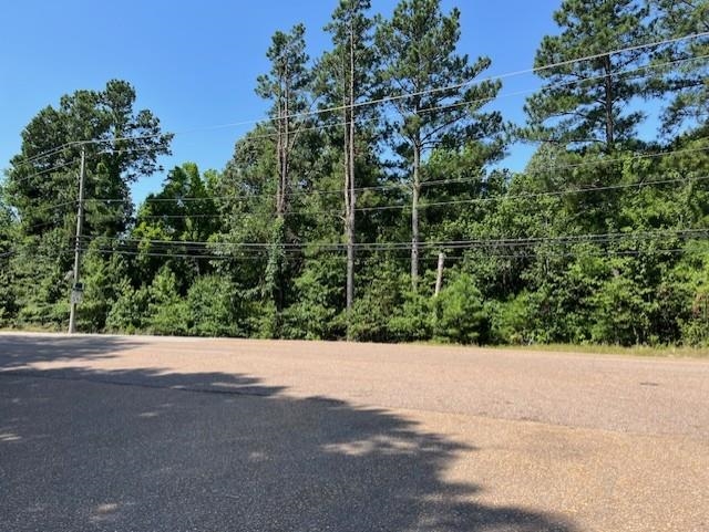 0 Canada Road Lakeland, TN 38002 - Photo 2 of 2