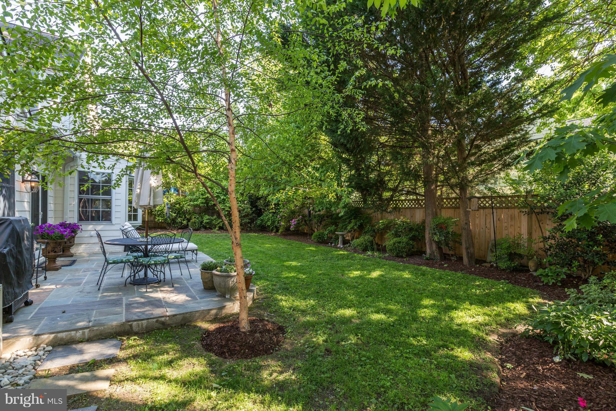 5302 Wriley Road Bethesda, MD 20816 - Photo 30 of 30 A true oasis in the middle of it all.