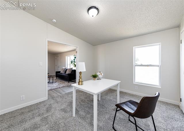 25010 Sanborn Road Calhan, CO 80808 - Photo 9 of 50
