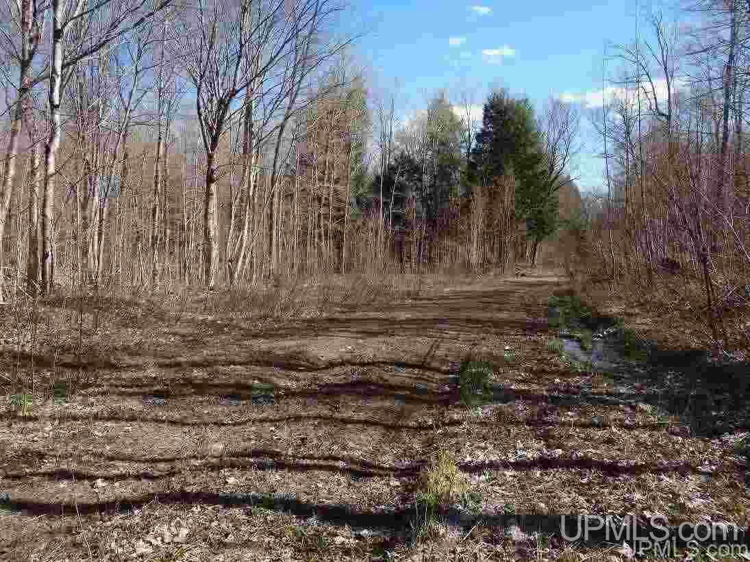 Tbd Off Ravine River Road Skanee, MI 49962 - Photo 10 of 20