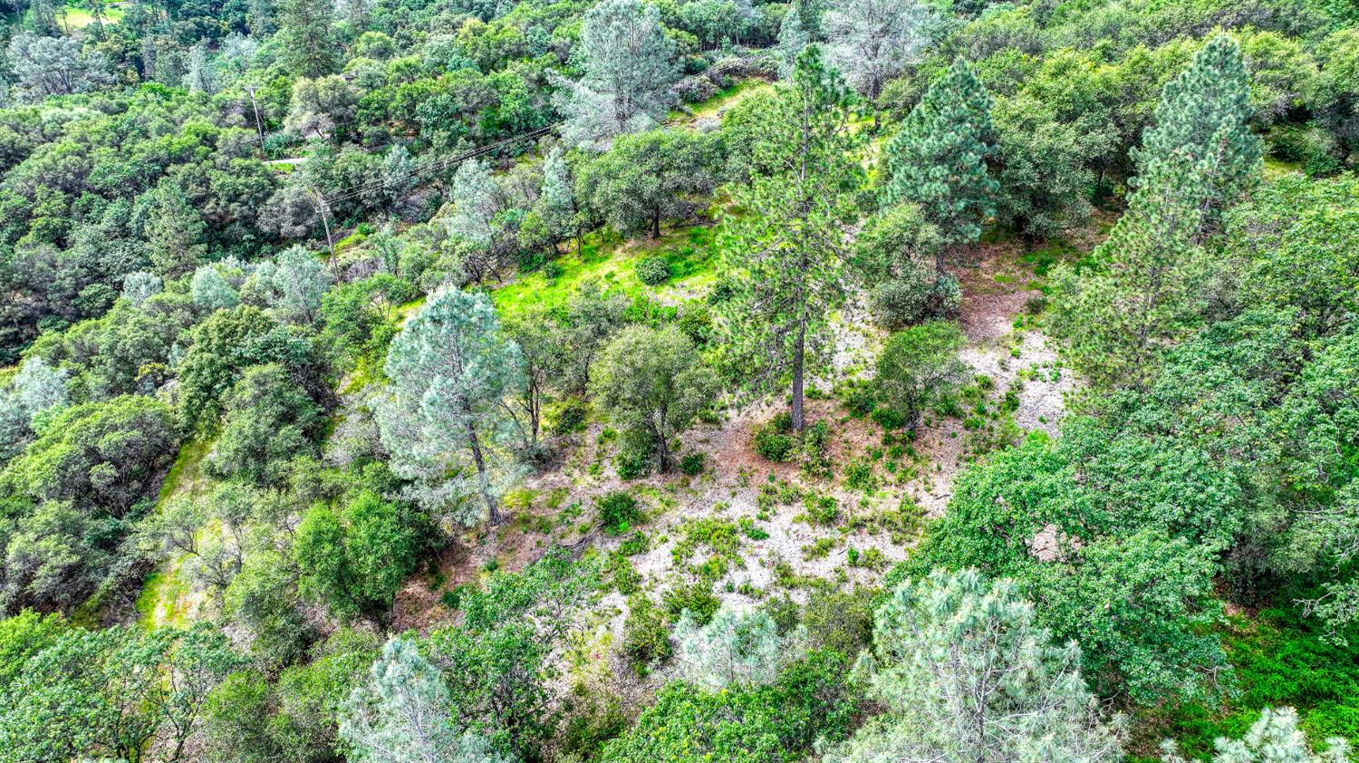 0 Fern Place Auburn, CA 95603 - Photo 5 of 17 a view of a lush green forest