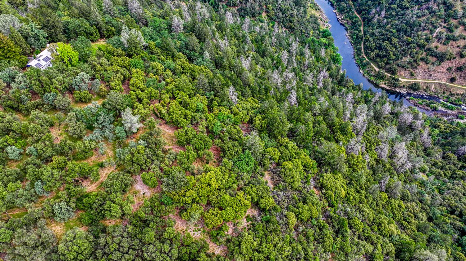 0 Fern Place Auburn, CA 95603 - Photo 9 of 17 a view of a lush green forest