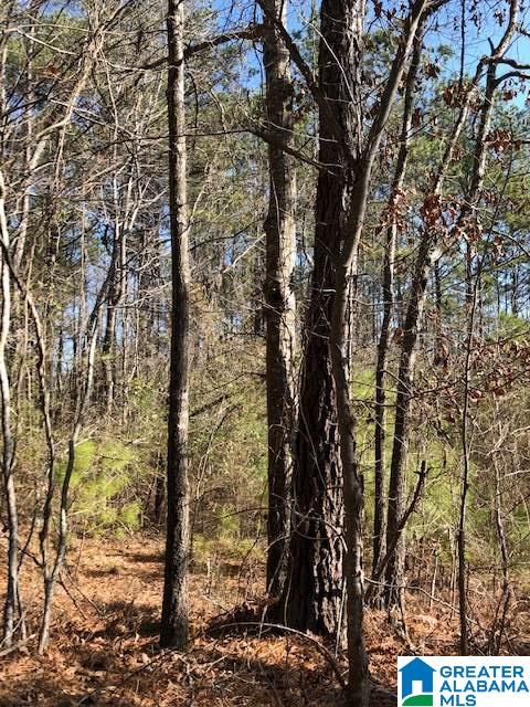0 Blackjack Road, Unit 24 Trussville, AL 35173 - Photo 12 of 21