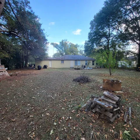 a view of a dirt yard with a large tree