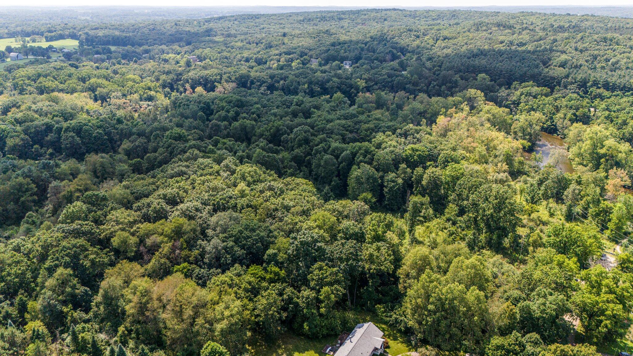0 Bell Road Dexter, MI 48130 - Photo 14 of 24 14-web-or-mls-DJI_20240803152111_0147_D