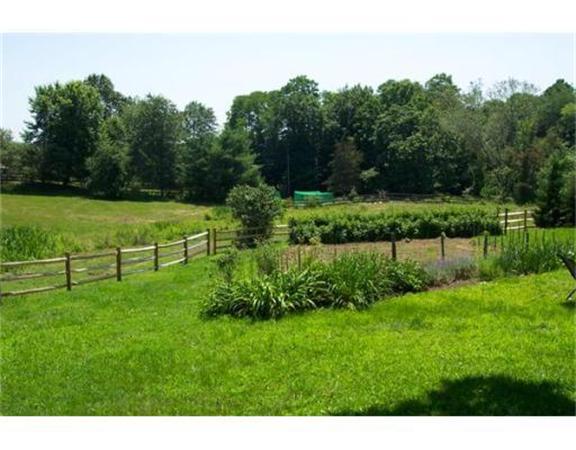 483 Montague Road Amherst, MA 01002 - Photo 20 of 30 a view of an outdoor space and yard