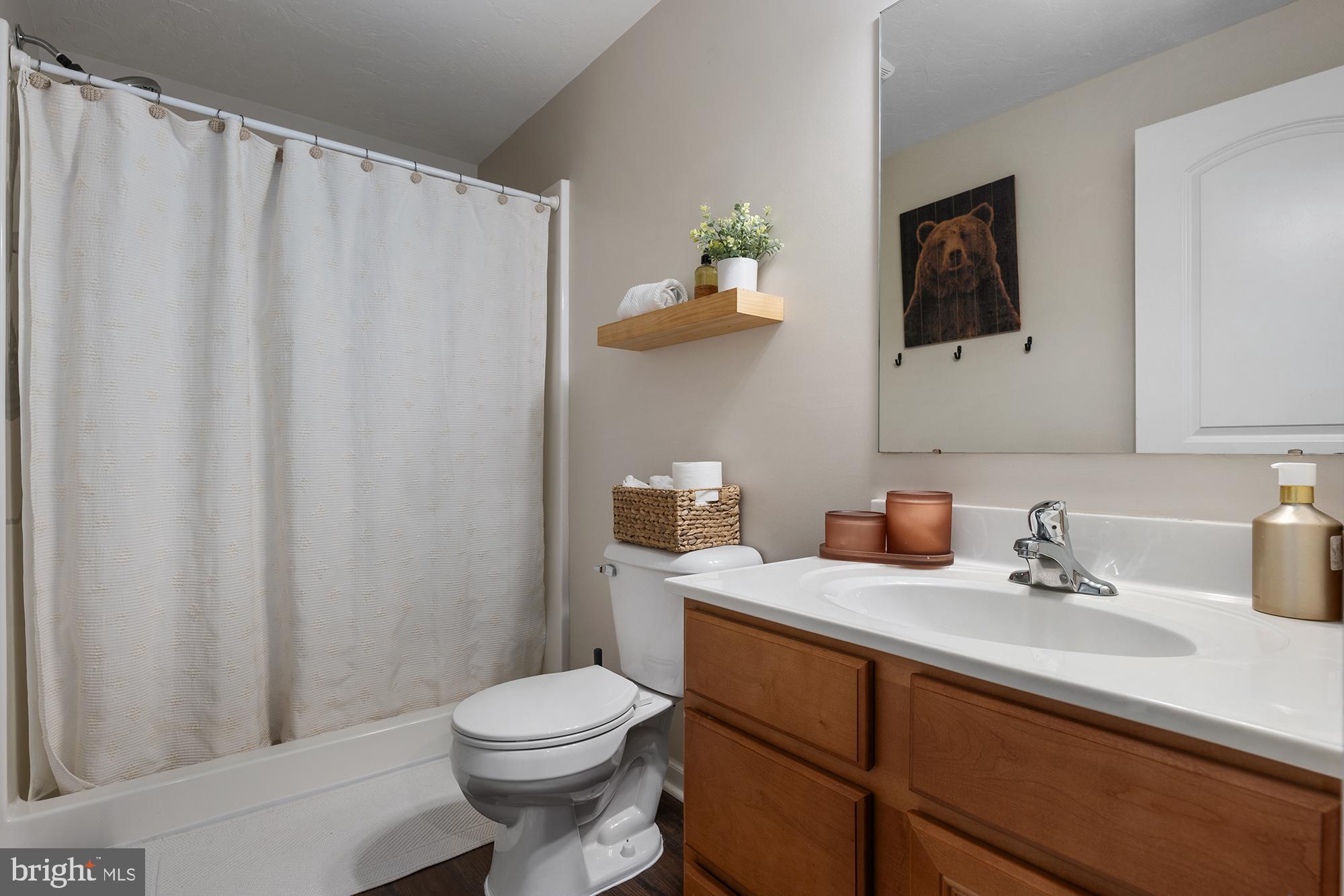 12 Boulder Road Hanover, PA 17331 - Photo 48 of 61 a bathroom with a sink a toilet and shower curtain