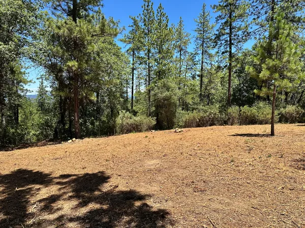 a view of a yard covered with snow in front of house
