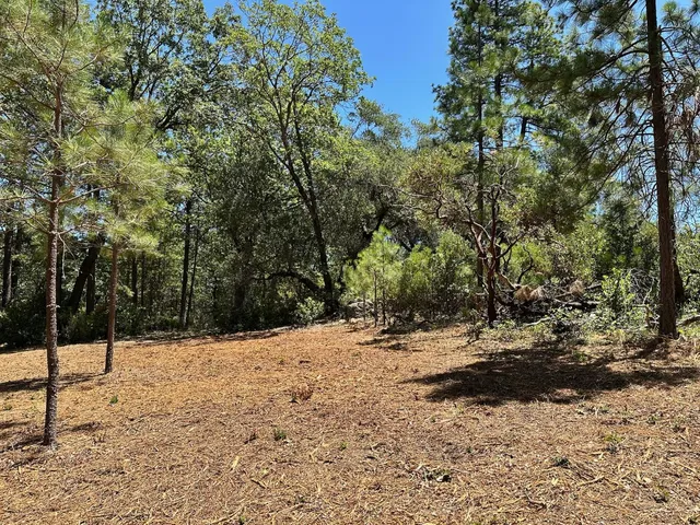 a view of a yard covered in snow