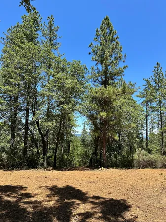 a view of snow on the side of a road