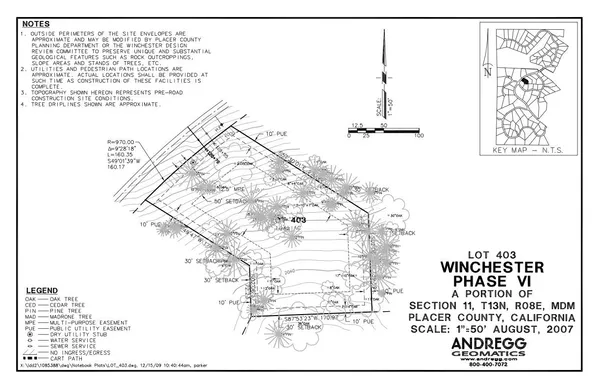 a picture of white wall with a tree