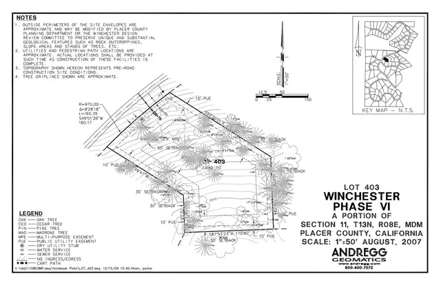a picture of white wall with a tree