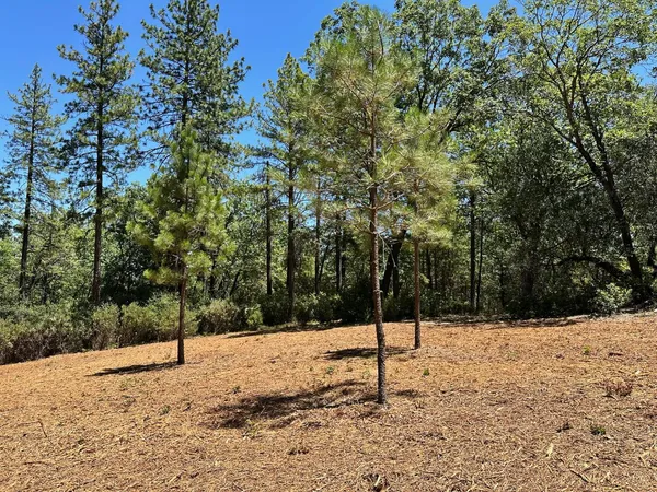 a view of a snow in the yard