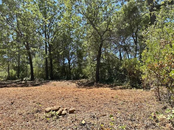 a view of snow on a road