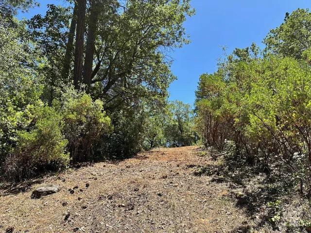 a view of a road with a snow in the background