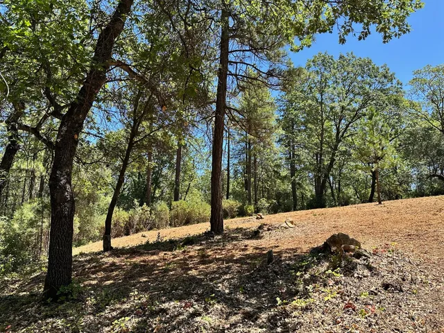 a view of a road with a tree