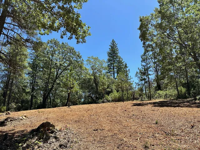 a view of a backyard of the house