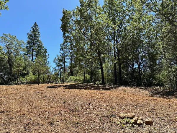 a view of outdoor space with yard