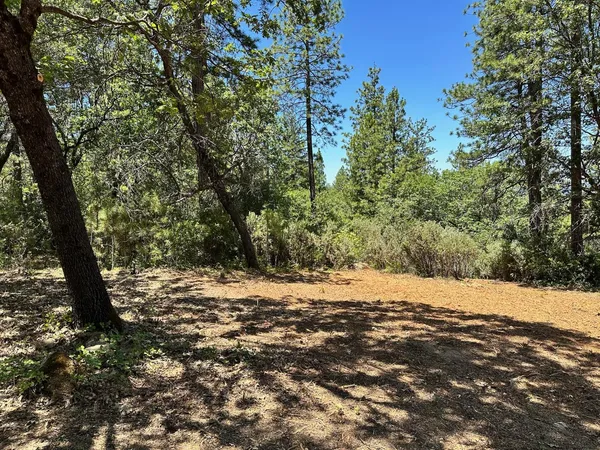 a view of a wooden fence with trees
