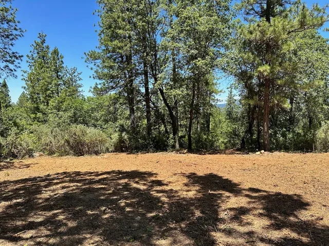 a street view covered with snow