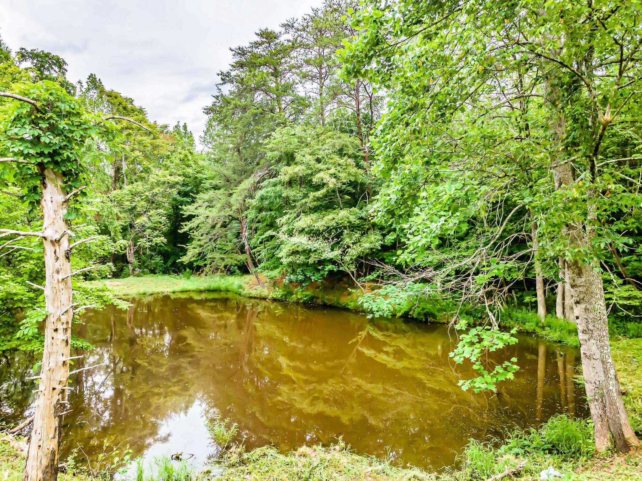 1261 Ellejoy Road Seymour, TN 37865 - Photo 29 of 38 1261E-30