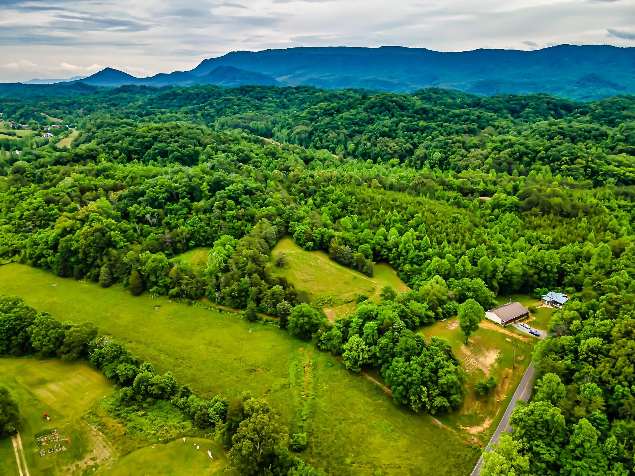 1261 Ellejoy Road Seymour, TN 37865 - Photo 32 of 38 1261E-39