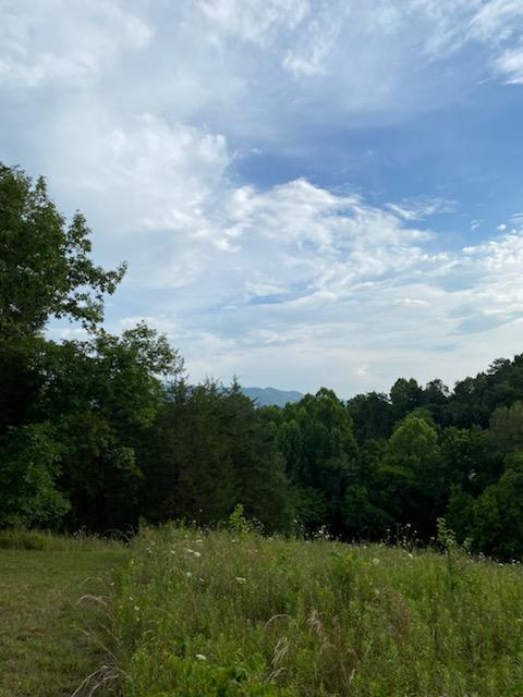 1261 Ellejoy Road Seymour, TN 37865 - Photo 35 of 38 IMG_1012